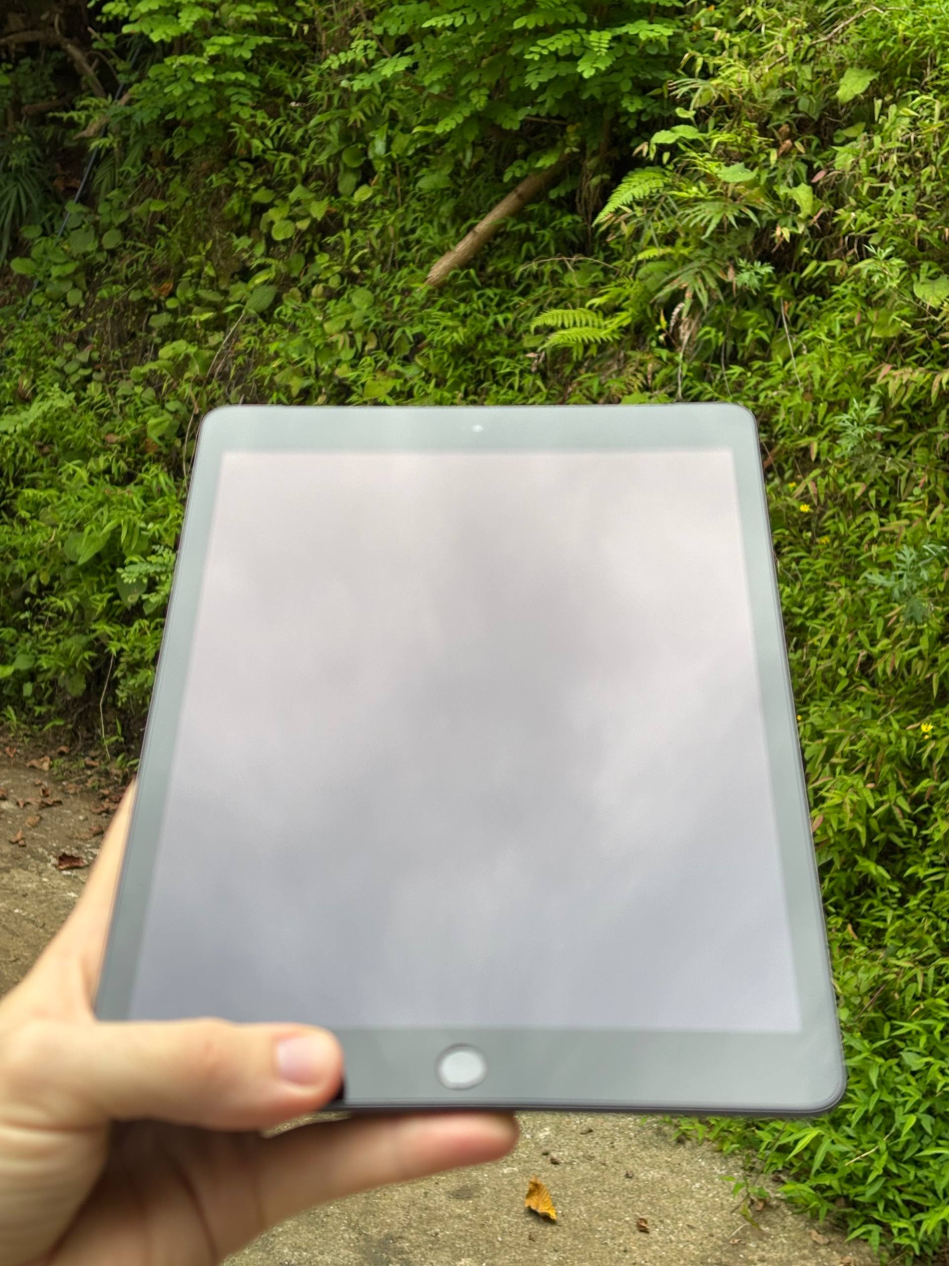 iPad 8го поколения, Cellular + Wi-Fi версия