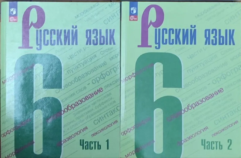 6 класс в двух частях. часть 2 новая