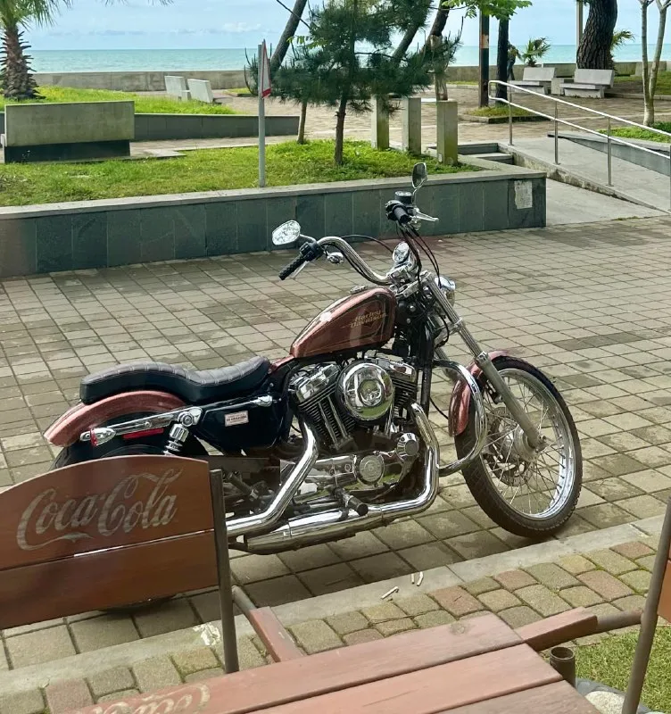 Кожаная боковая сумка Harley-Davidson