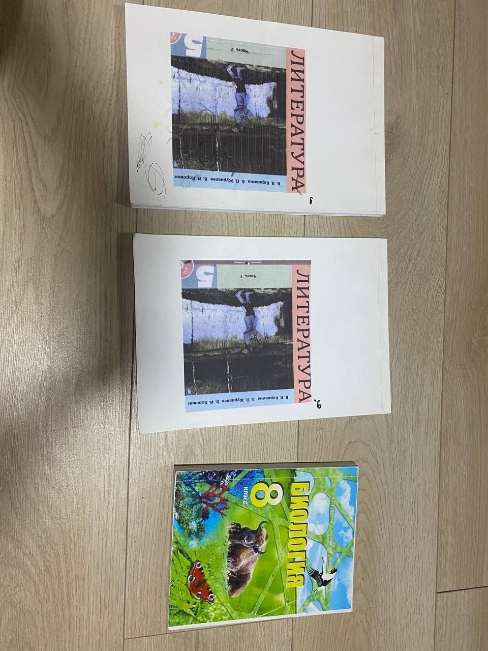 учебник 8 кл. по химии, информатике, биологии, русской литературе и физике photo 2