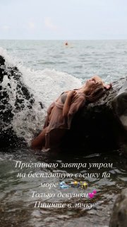 Морской лев