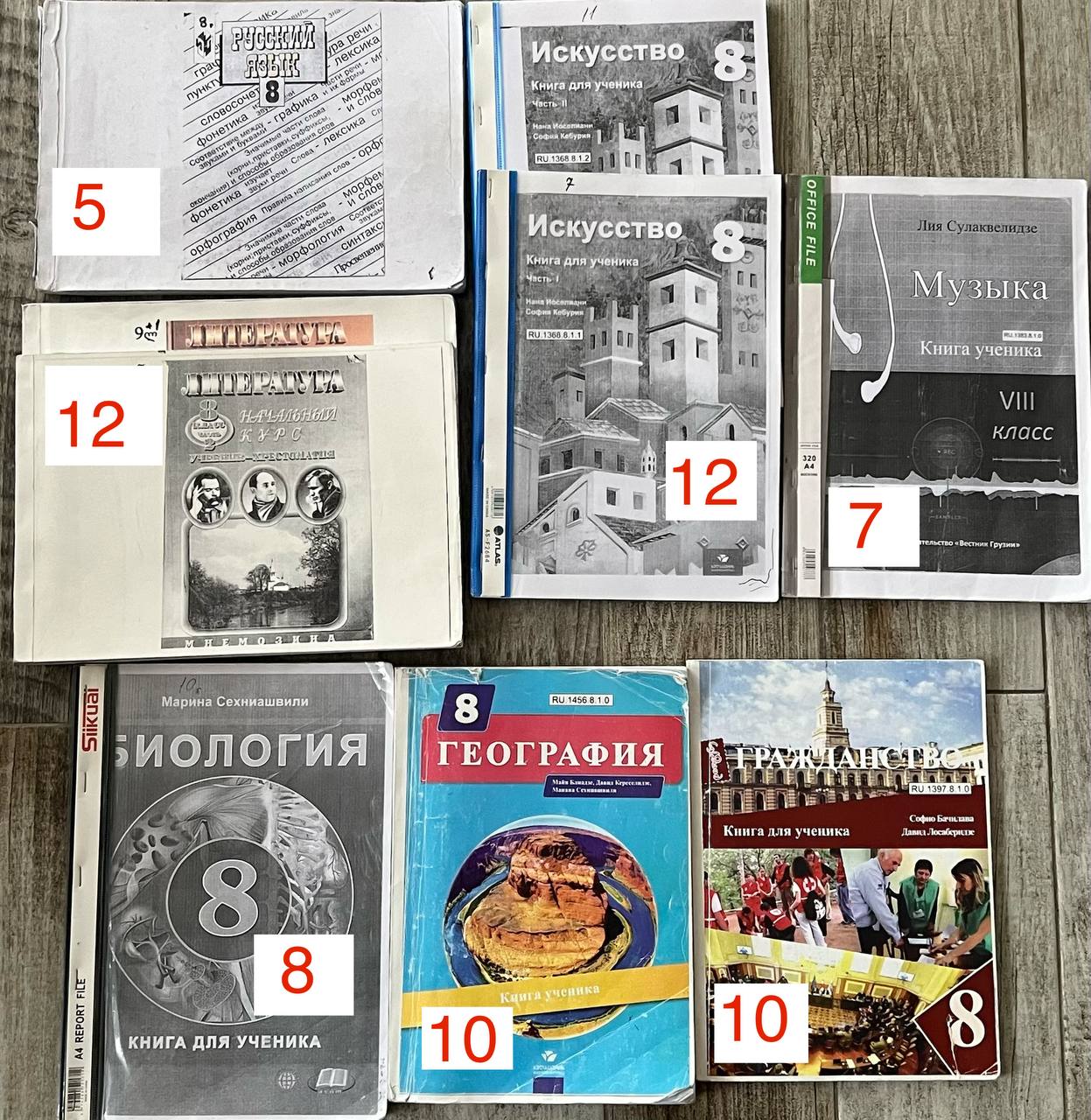Учебник русской литературы (2 части)