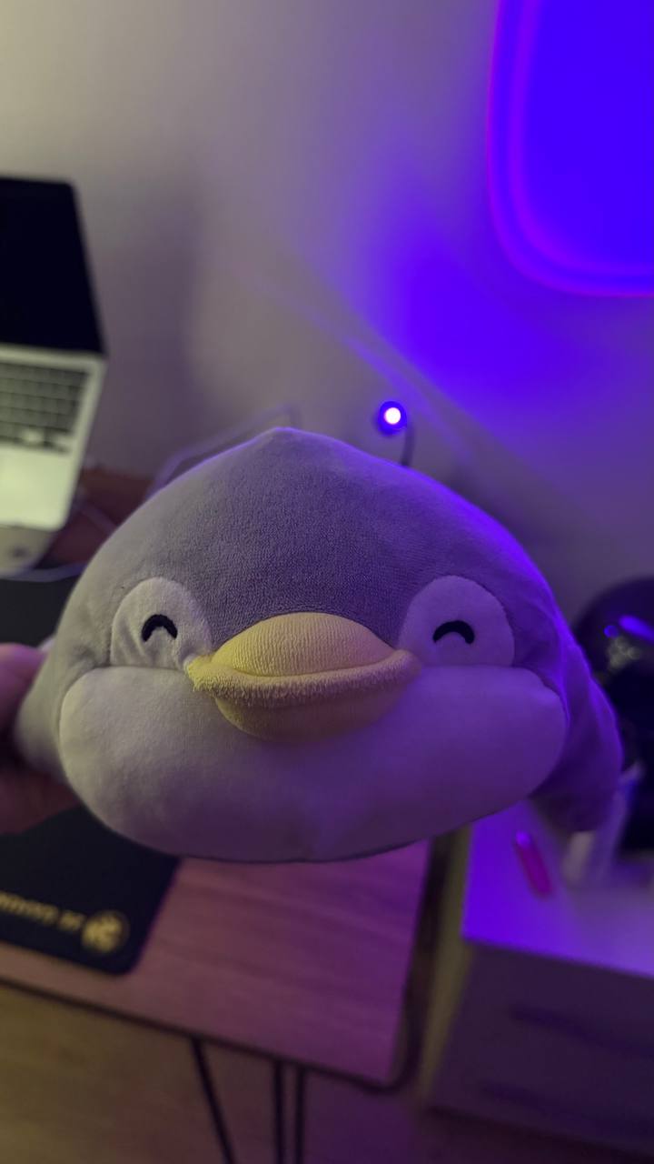 Мягкий пингвин из miniso