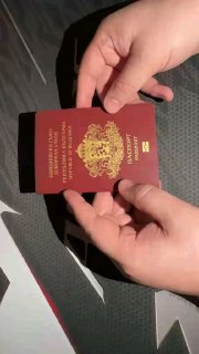 Video demonstration