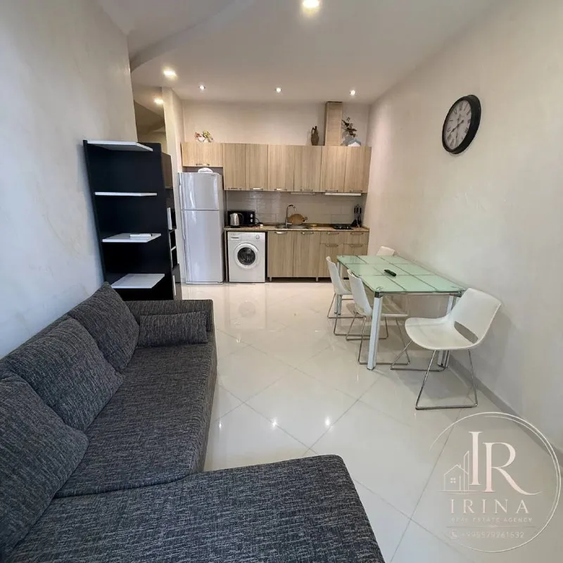 Квартира 1+1, 55 м²