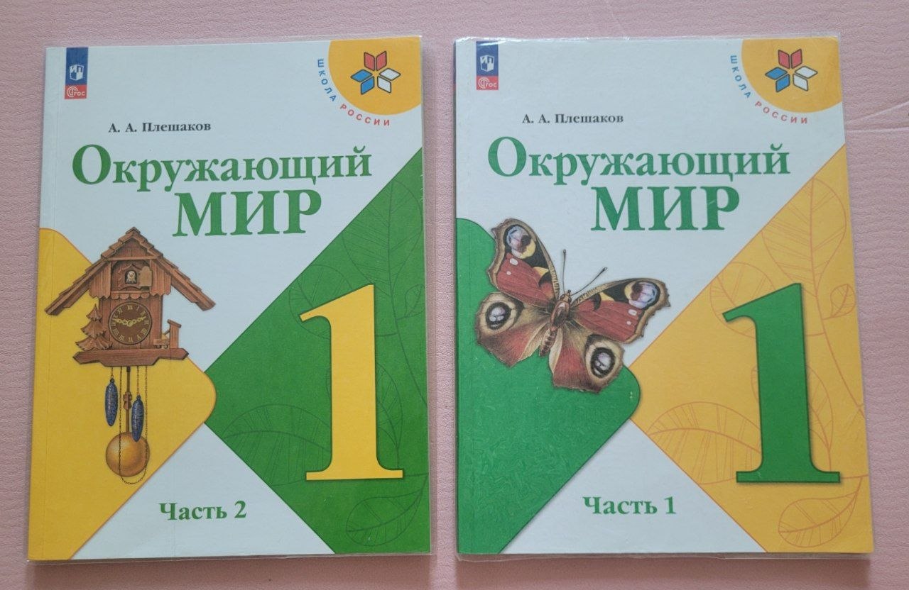 Учебники Плешаков Окружающий мир 2 части