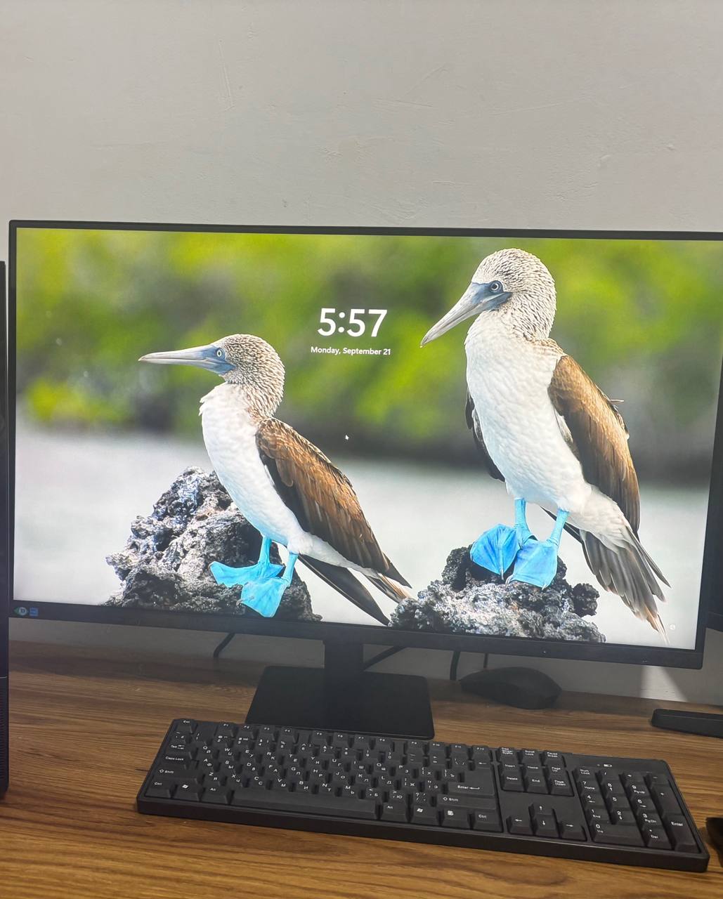 Монитор Samsung ViewFinity S7 32″ 4K