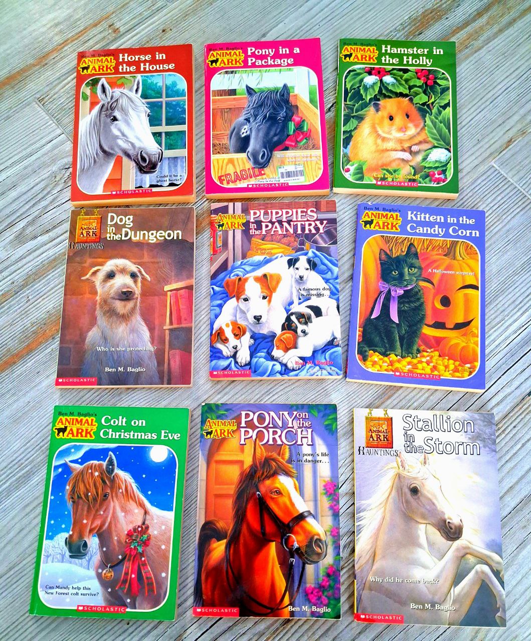 Книга ANIMAL ARK на английском языке