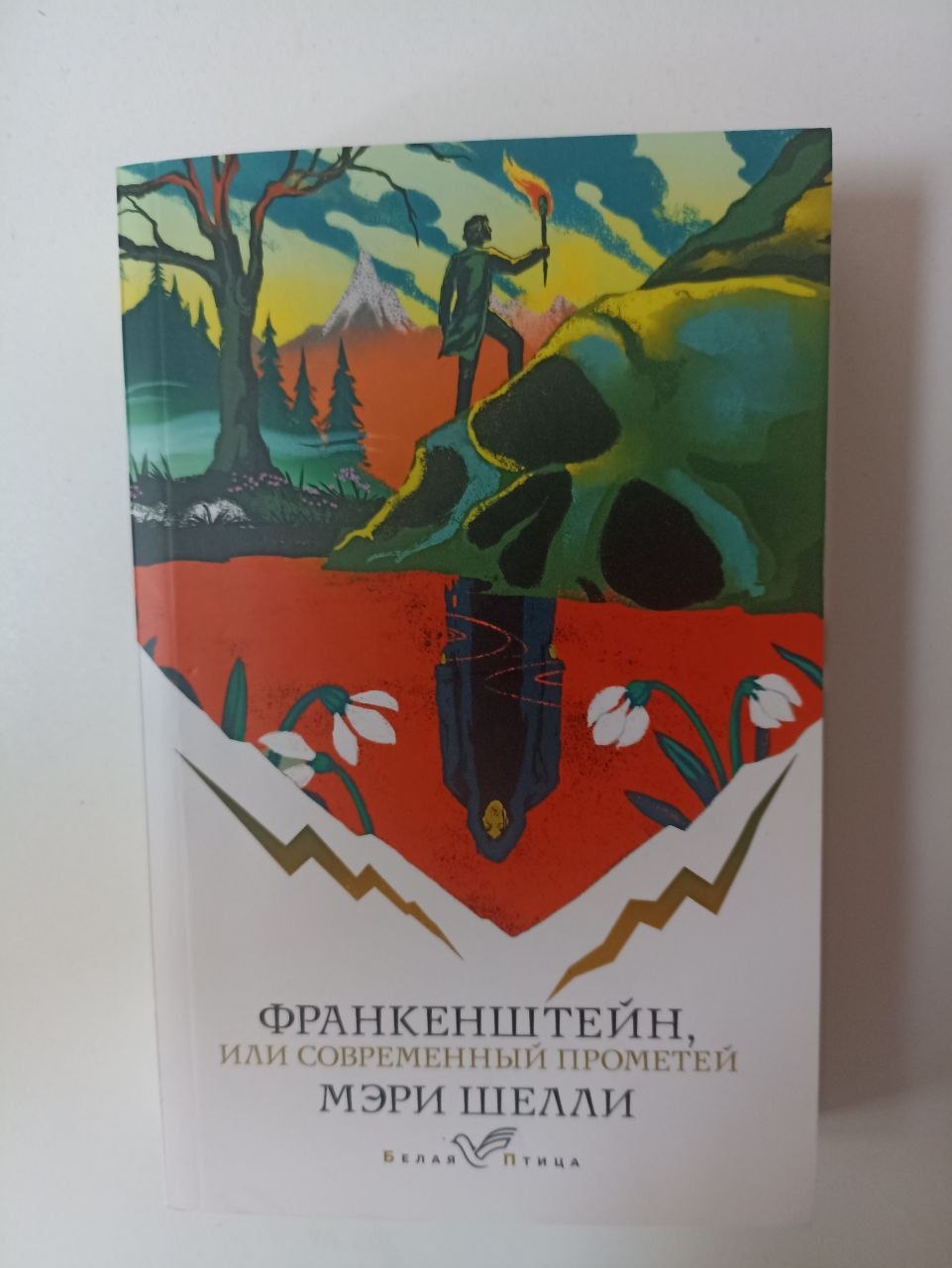 Книга Дневник памяти