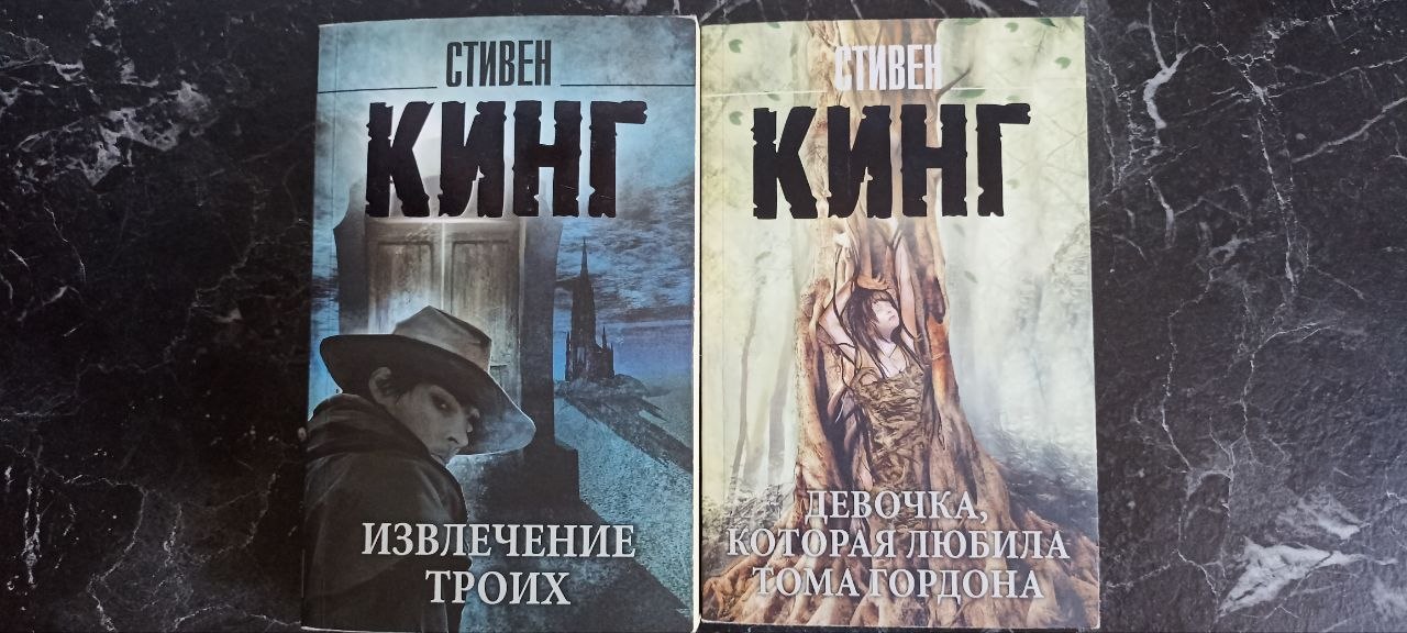 Книга Стивена Кинга - Девочка, которая любила Тома Гордона