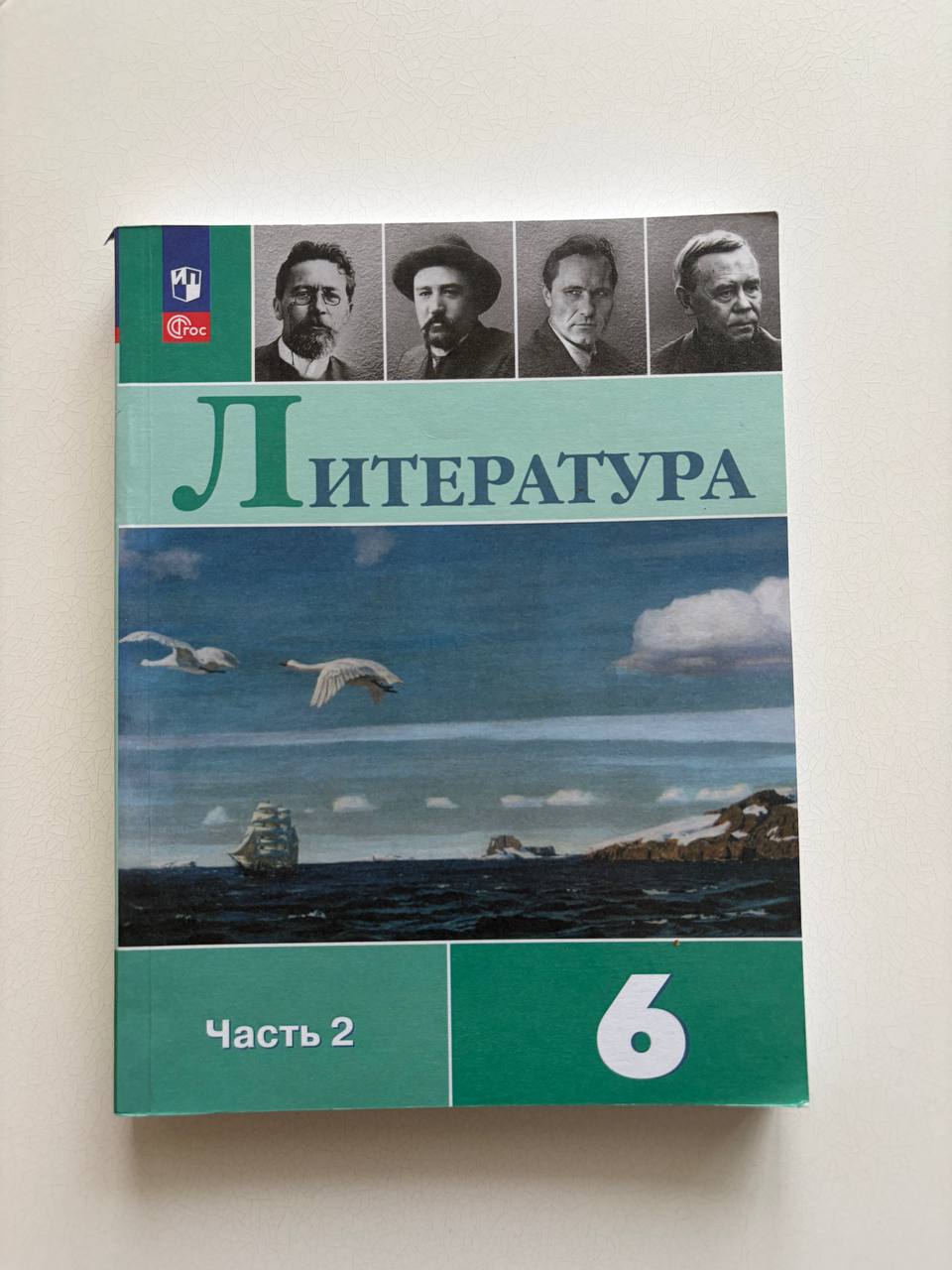 Русский язык 7 класс, 1 часть