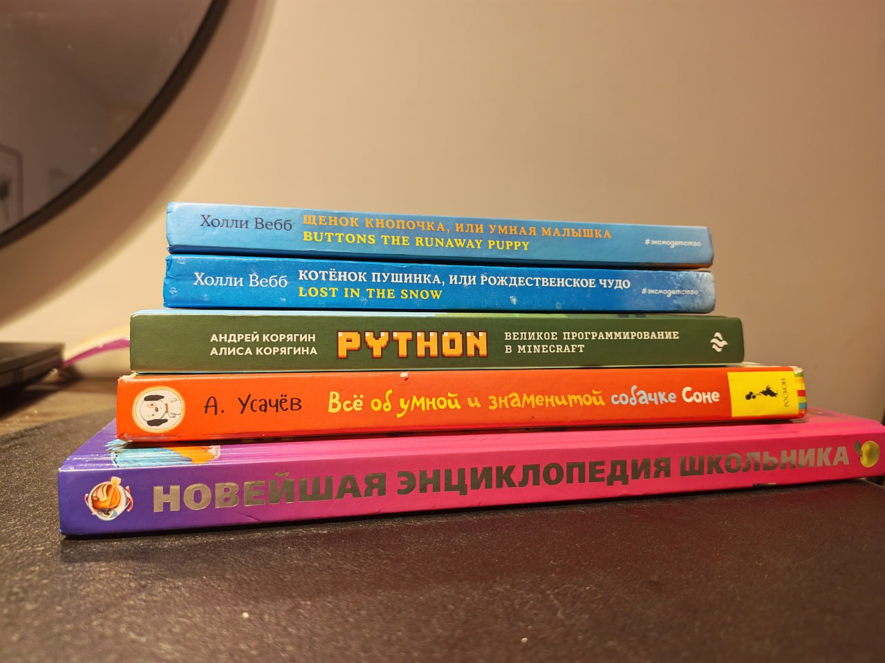 Python Программирование Minecraft