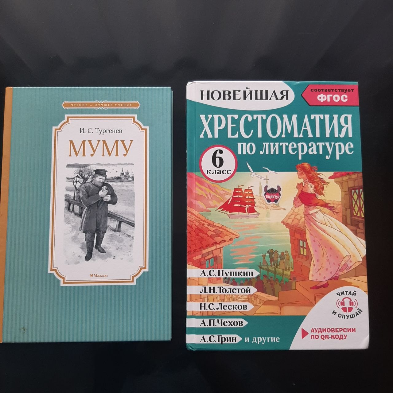 Книги Муму
