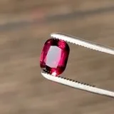 Video demonstration