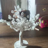 Белое дерево и розовое (photo 1)