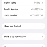 Apple Lightning (photo 2)
