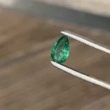 Video demonstration