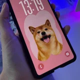 Samsung Galaxy Z Flip 8 с аксессуарами (photo 1)