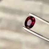 Video demonstration