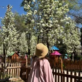 куртка, кофта, жакет, пиджак, свитшот (photo 1)