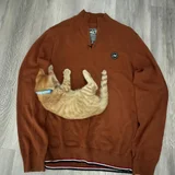 Толстовка Alpha Industries (photo 4)
