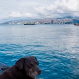 Фотоаппарат Sony Alpha NEX-5N с объективом и аксессуарами (photo 7)