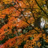 Фотоаппарат Sony Alpha NEX-5N с объективом и аксессуарами (photo 5)