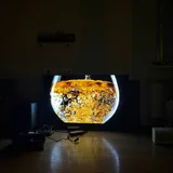 Sony Bravia 8. OLED (photo 2)