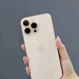 iPhone 16 Pro Max (photo 1)