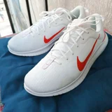 Беговые кроссовки Nike FD6033-107 (photo 1)