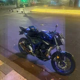 Yamaha MT-25 (photo 2)