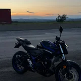 Yamaha MT-25 (photo 1)