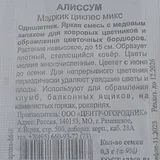 Опунция в ведёрке (photo 1)