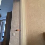 Интерактивная игрушка для кота Pet Flat (photo 2)