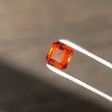 Video demonstration