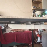 новый стол за (photo 2)