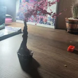 Белое дерево и розовое (photo 3)