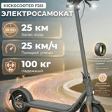 Электросамокат Ninebot Segway F25I (photo 9)