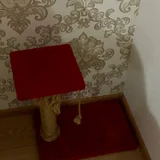 Кошачья когтеточка (photo 2)