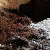 Горшок для цветов (photo 3)