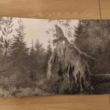 Винил Burzum (photo 3)