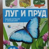 Детские игрушки и принадлежности (photo 1)