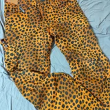 Лыжные штаны (photo 2)