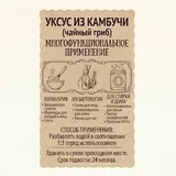 Чайный гриб (photo 5)