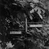 Фотоаппарат Yashica Mat 124G (photo 8)