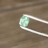 Video demonstration