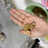 Грецкий орех (photo 1)