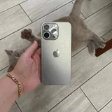 iPhone 15 Pro Max (photo 4)