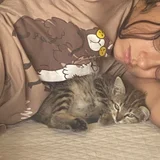 Котенок в добрые руки (photo 1)