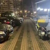 Собака ищет дом (photo 2)